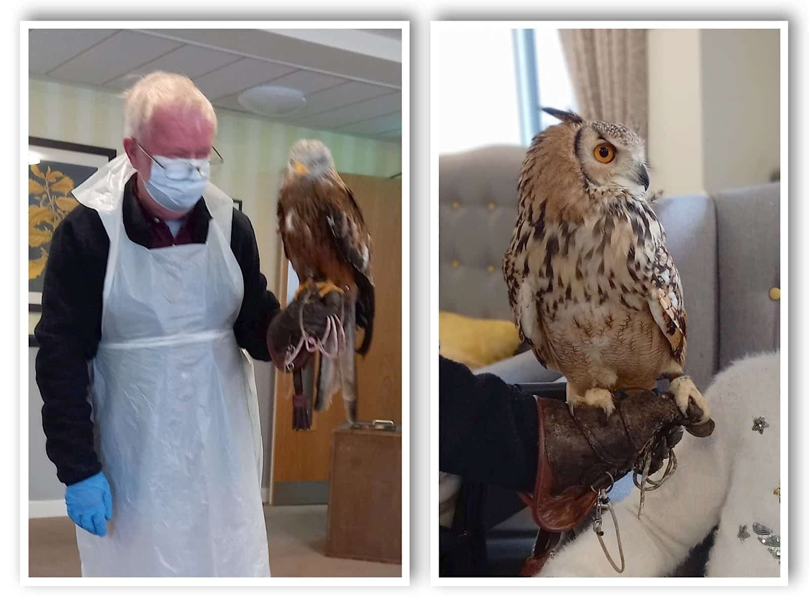 Owl on Hand for National Pet Day
