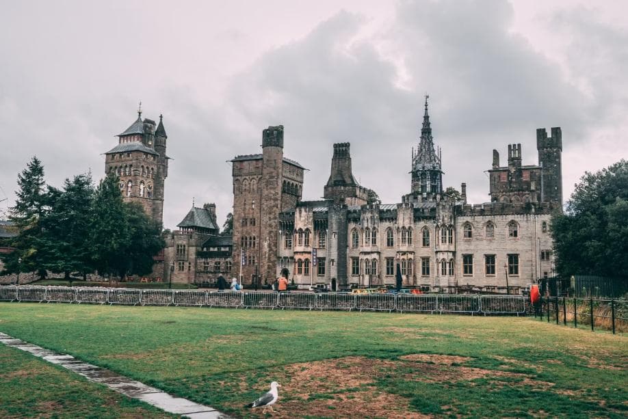 cardiff castle